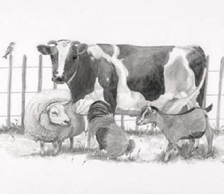 Potlood tekening